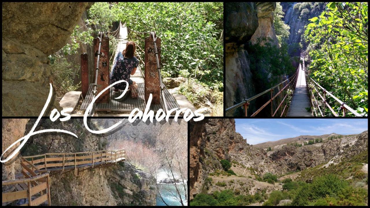 Chalet Trolio Bed & Breakfast Alhendin Bagian luar foto